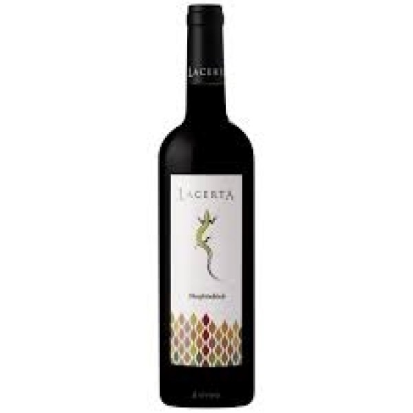 Lacerta Blaufraenkisch