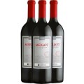 KIT VERTICAL MIOLO MERLOT TERROIR
