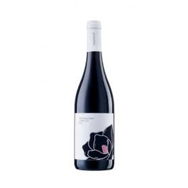 Magnolia Montepulciano D'Abruzzo DOC 