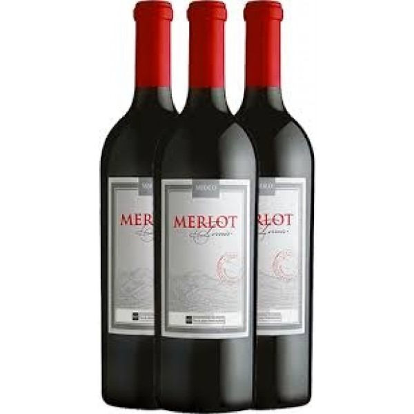 KIT VERTICAL MIOLO MERLOT TERROIR
