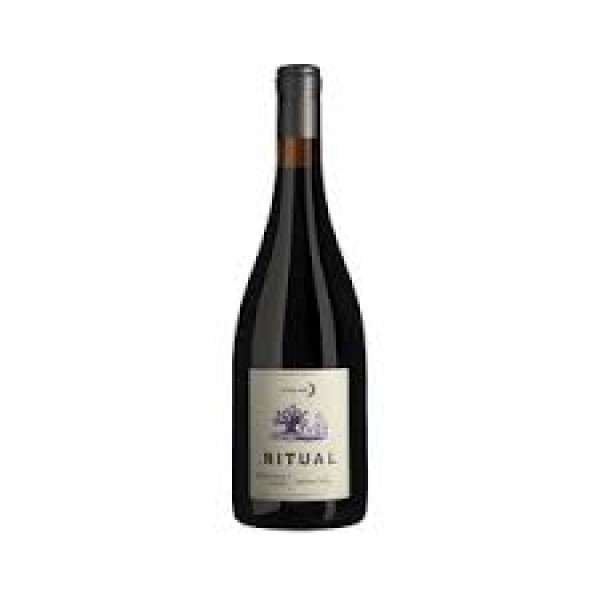 Ritual Blocks Alocaparal Casablanca Syrah