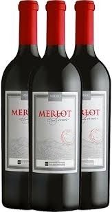 KIT VERTICAL MIOLO MERLOT TERROIR