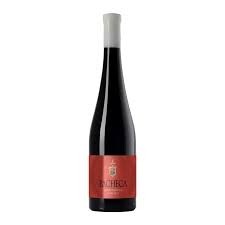 Pacheca Reserva Sousão